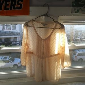 Sheer Blouse